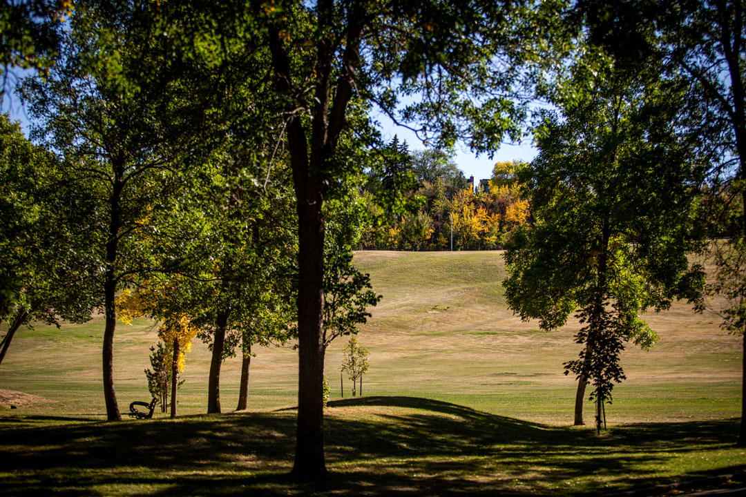 Gallagher park