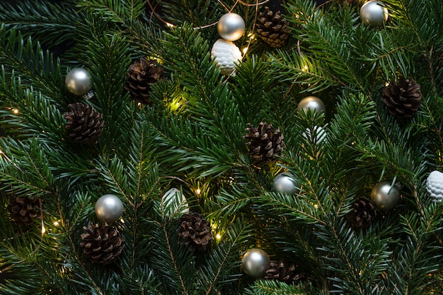 evergreens decorated with pinecones and Christmas balls