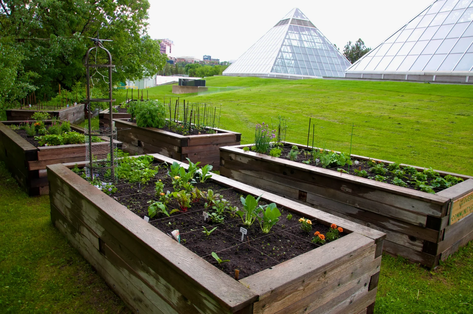 Cloverdale Community Garden Club