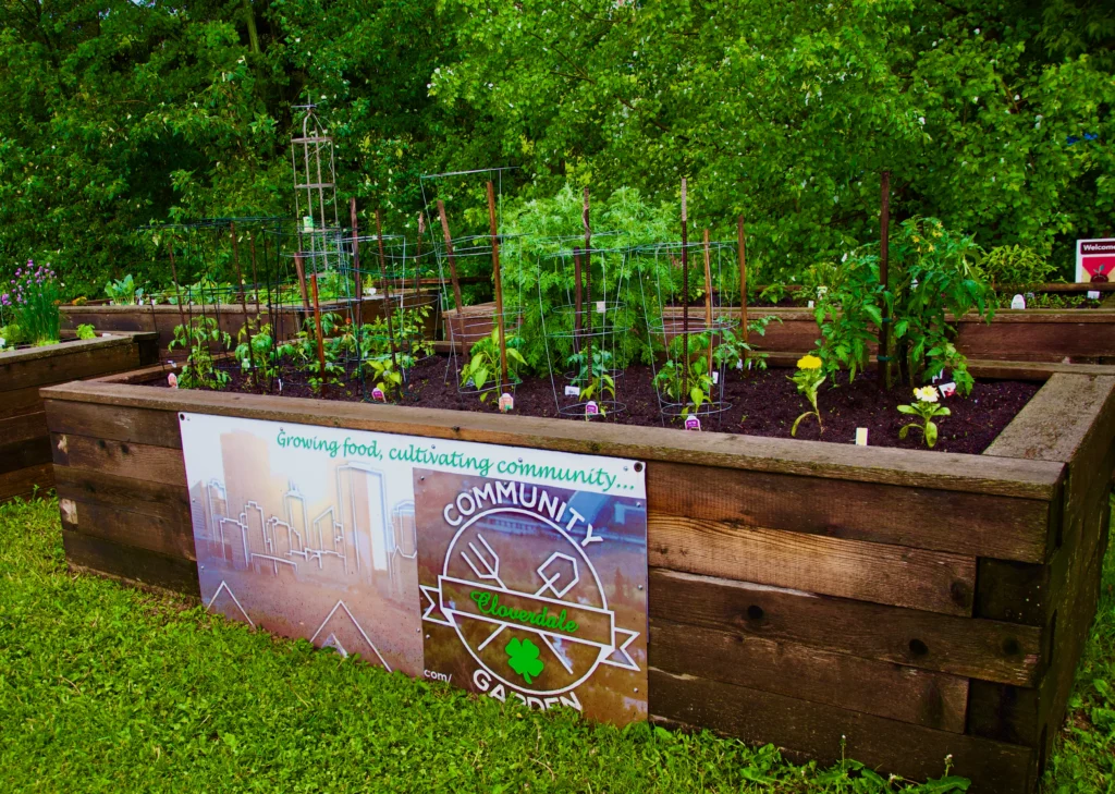 Cloverdale Community Garden Club